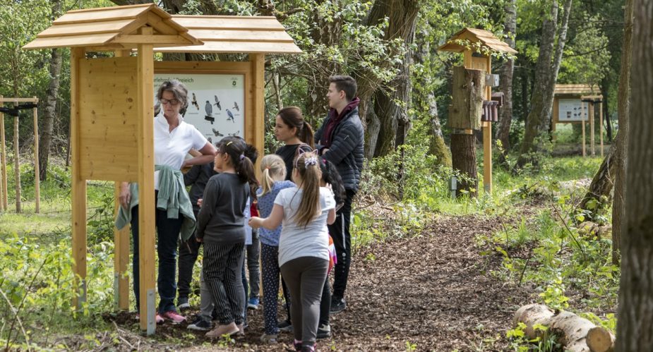 naturlehrpfad-baierhansenwiesen-3