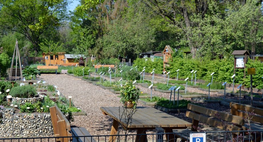 naturlehrpfad-baierhansenwiesen-4