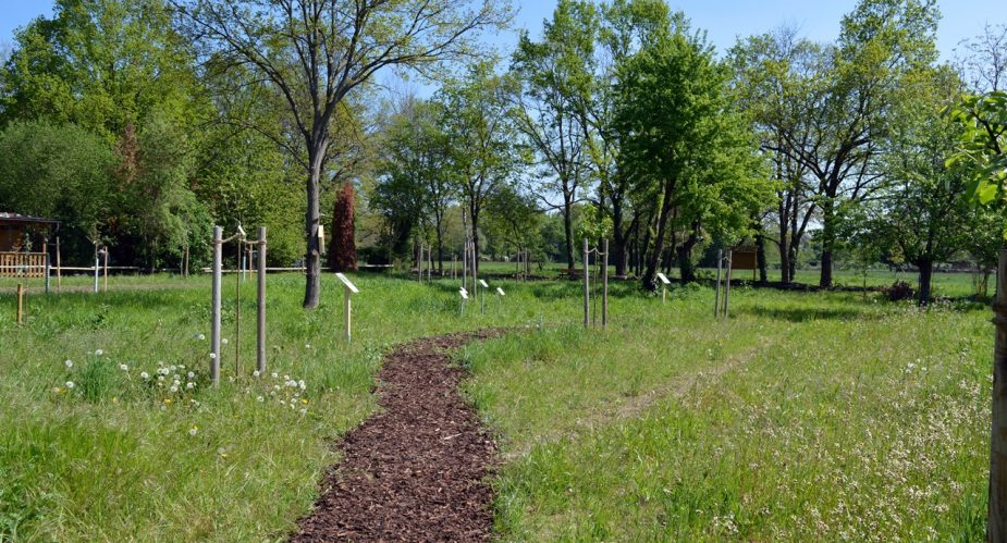 naturlehrpfad-baierhansenwiesen-5