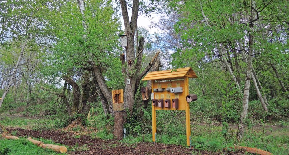 naturlehrpfad-baierhansenwiesen-7