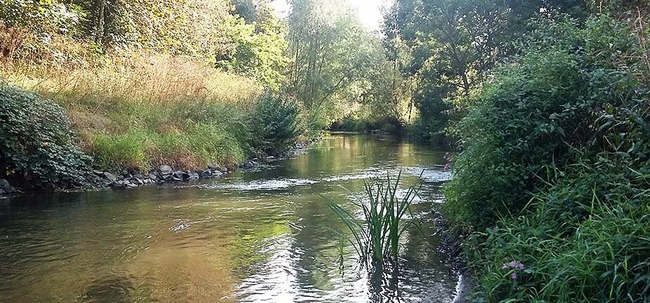 niddaroute-teaser- (11) niddaroute-teaser- (11)