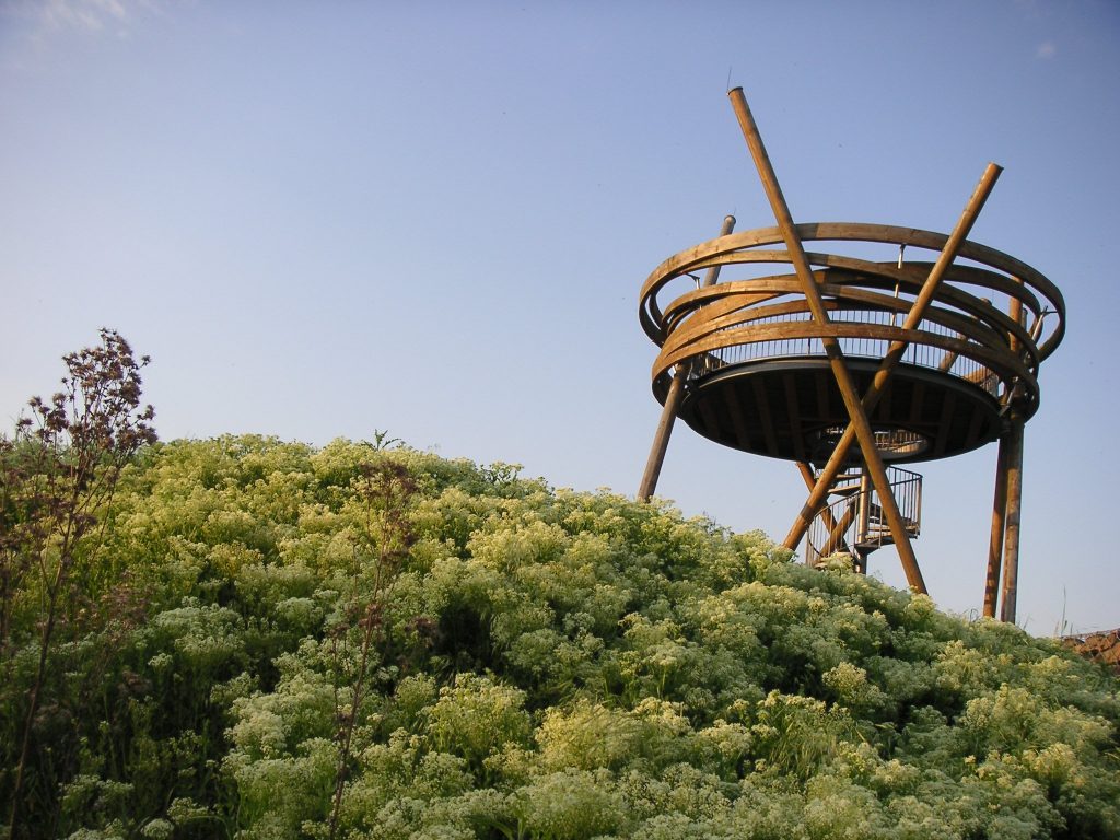 Aussichtskanzel Vogelnest Hochheim