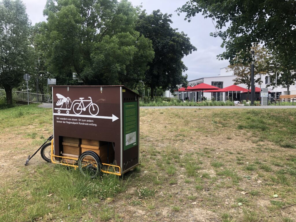 Wanderbienen-Karben_2021 (2)