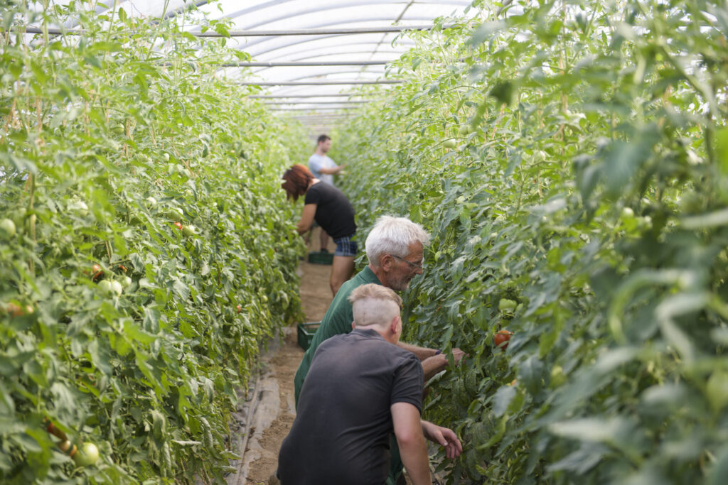 Hofstation Domäne Mechtildshausen