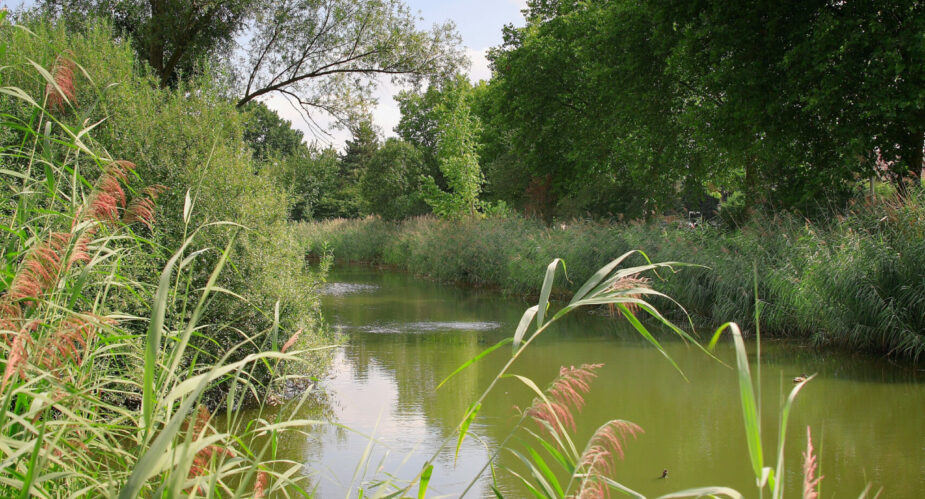 Bernd Ehlers - Horlache (6) Bernd Ehlers - Horlache (6)