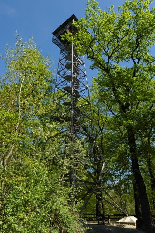 Meisterturm Hofheim