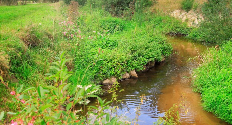 An der Rodau - Obertshausen (6)