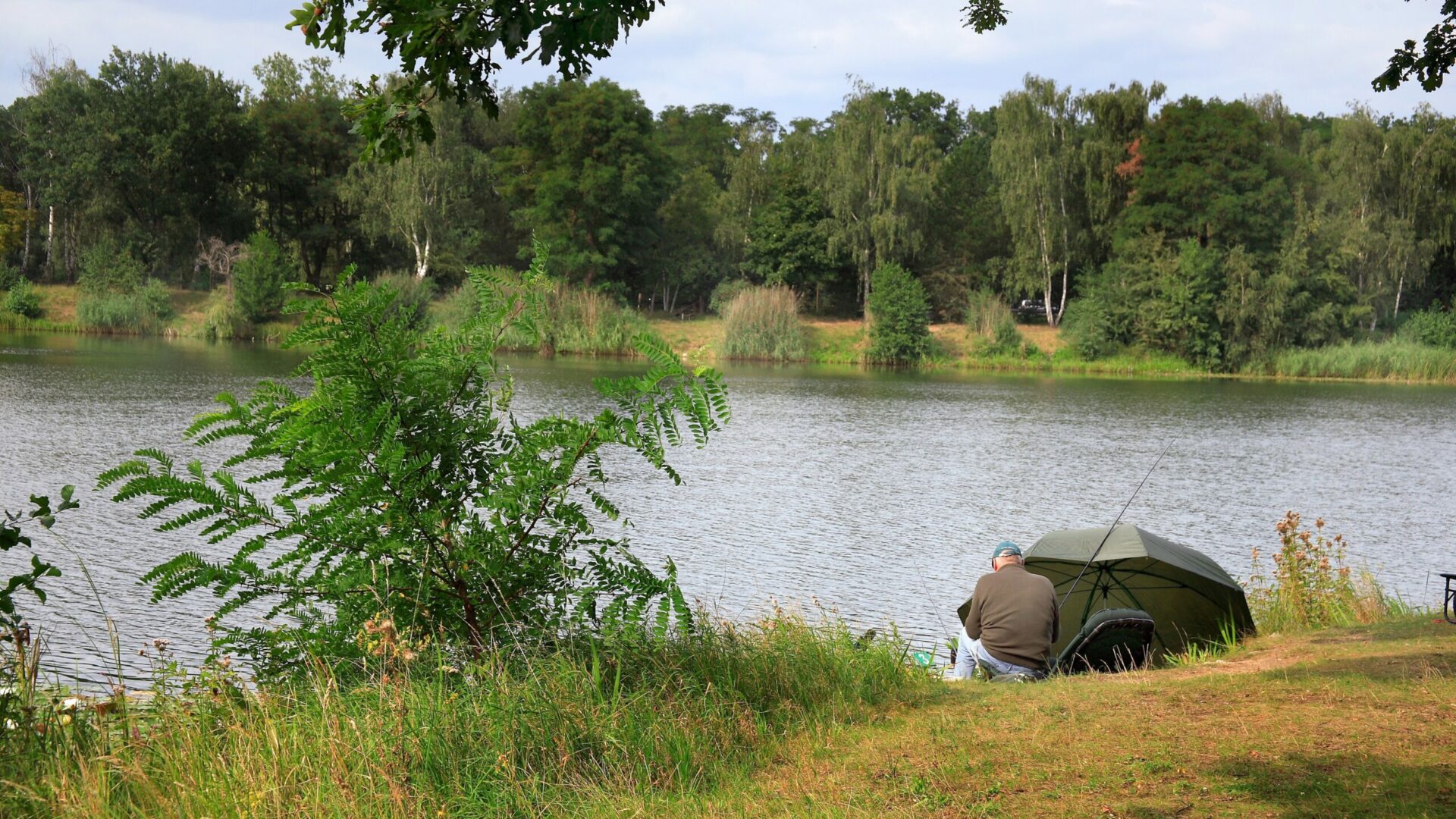 Bernd Ehlers - Bauschheimer Waldsee (1) Bernd Ehlers - Bauschheimer Waldsee (1)