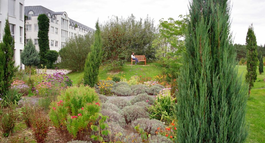 Bernd Ehlers - Internetpark Dietzenbach (3) Bernd Ehlers - Internetpark Dietzenbach (3)