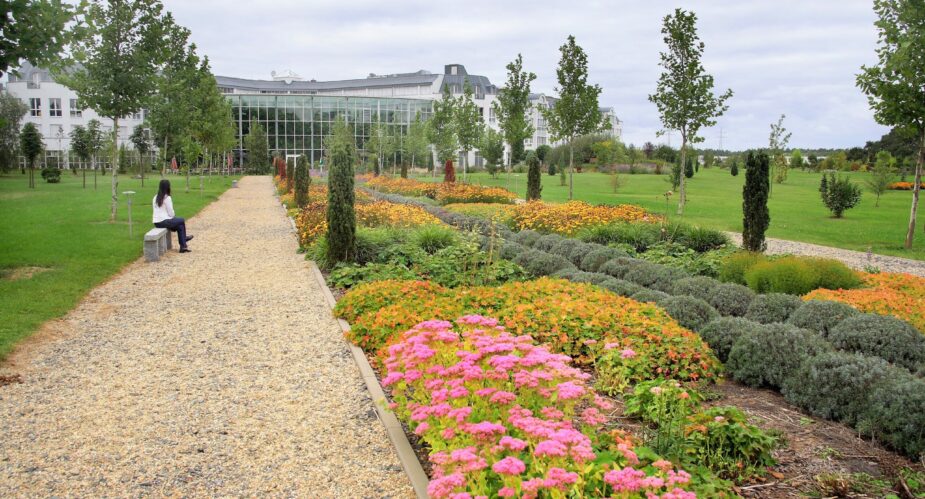 Bernd Ehlers - Internetpark Dietzenbach (6) Bernd Ehlers - Internetpark Dietzenbach (6)