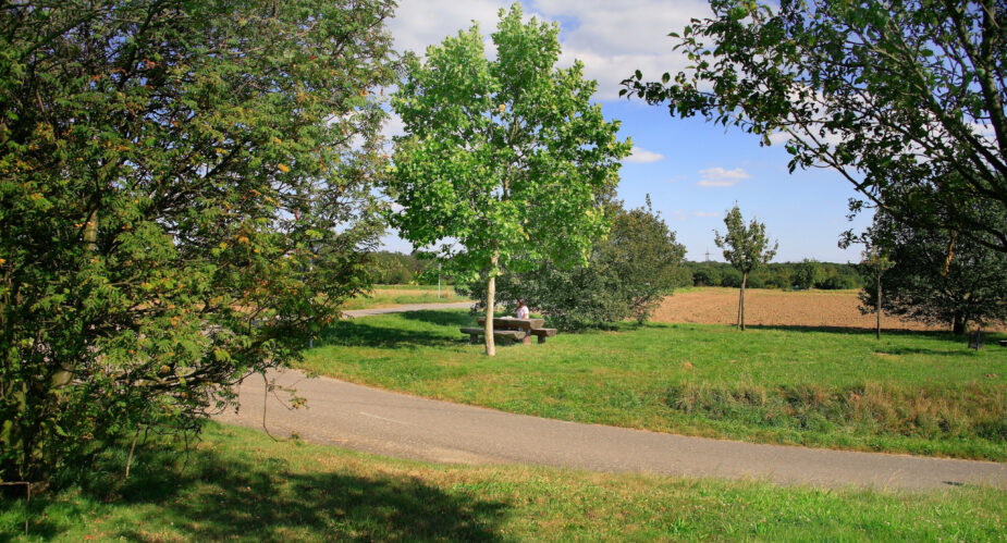 Nr1. Mittelfeld 6776 Nr1. Mittelfeld 6776