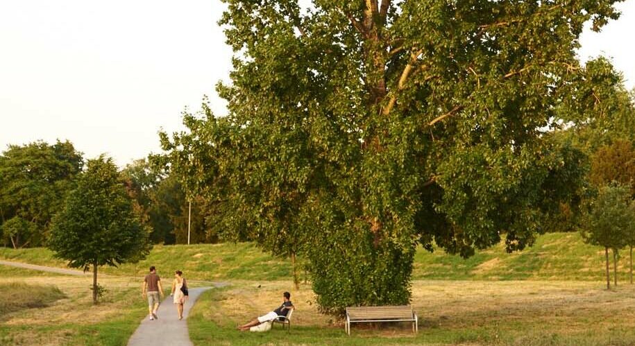 Mainvorland - Mainwiesen - Rüsselsheim