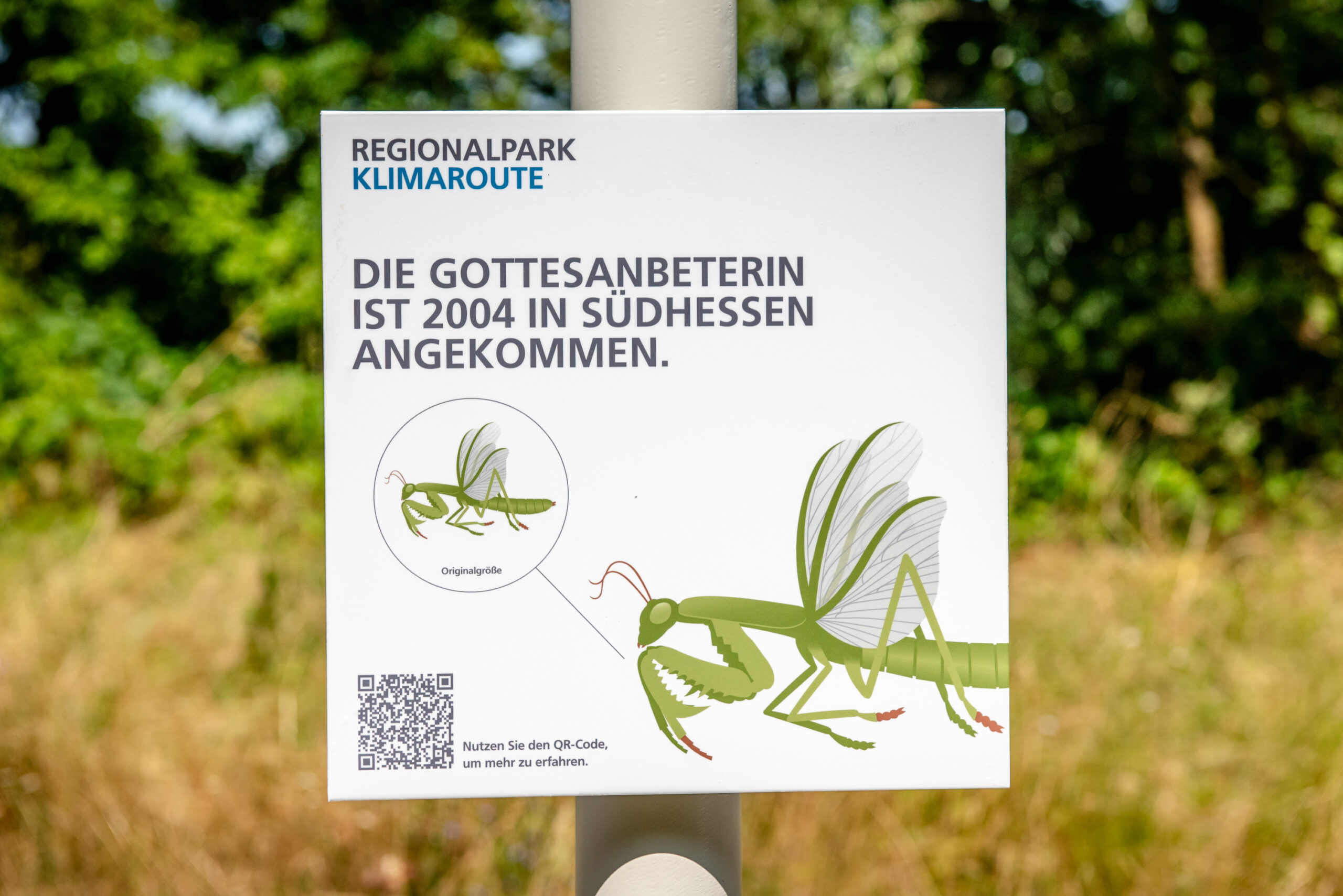 210_09.07.2023_Regionalpark_Klimaroute