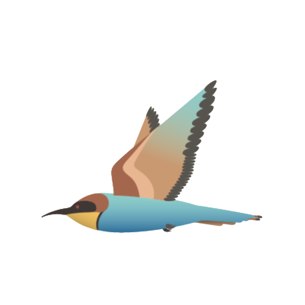 Flora Fauna - Bienenfresser