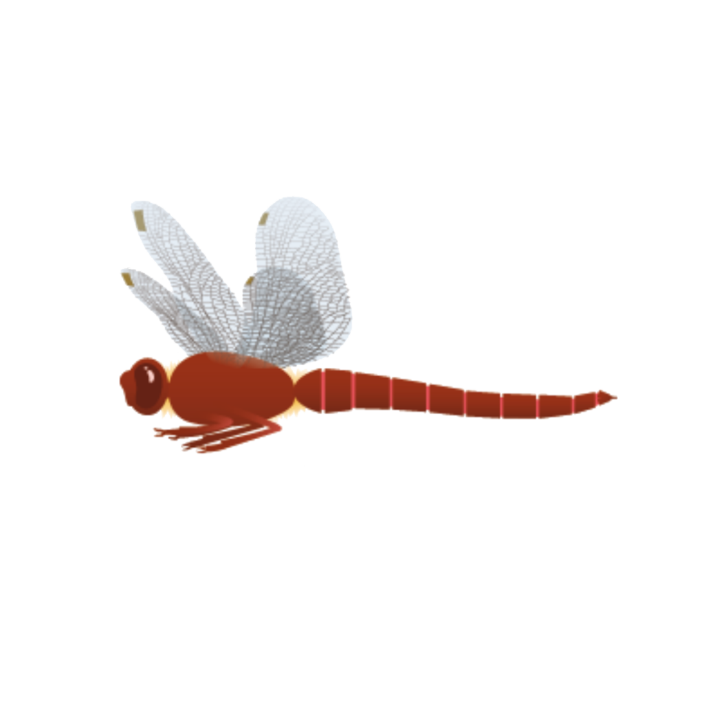 Flora Fauna - Feuerlibelle