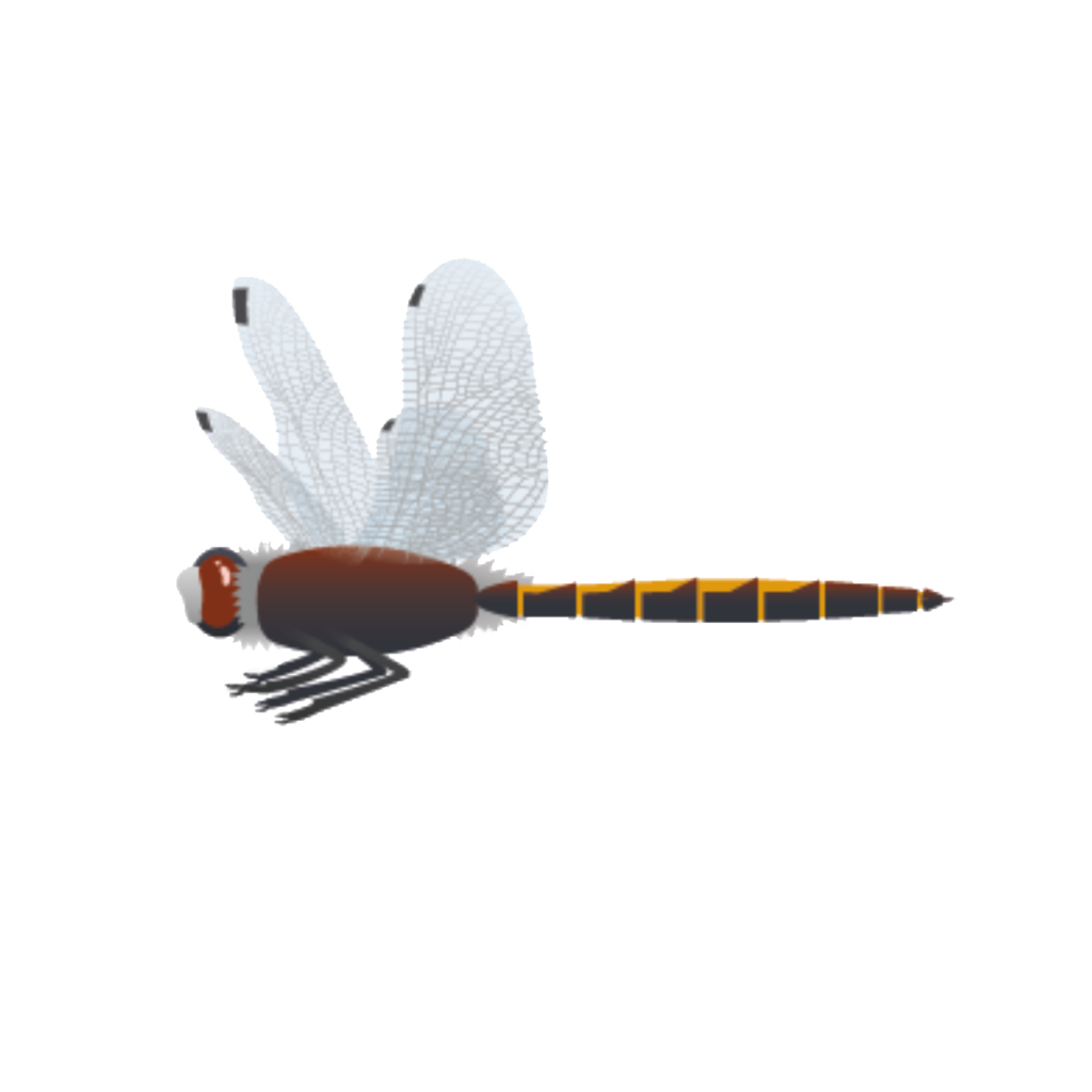 Flora Fauna - Große Moosjungfer