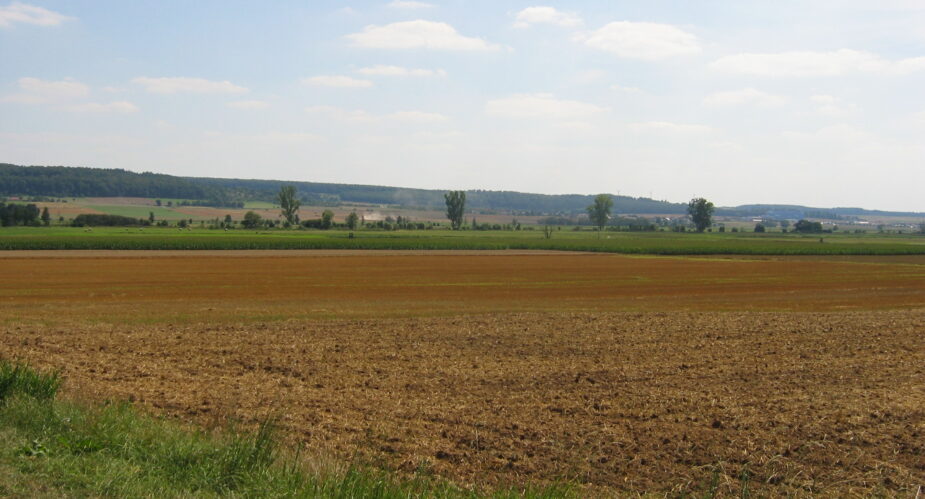 Landschaft (6)