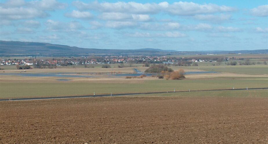 Niederwiesen Ilbenstadt Eichelmann1
