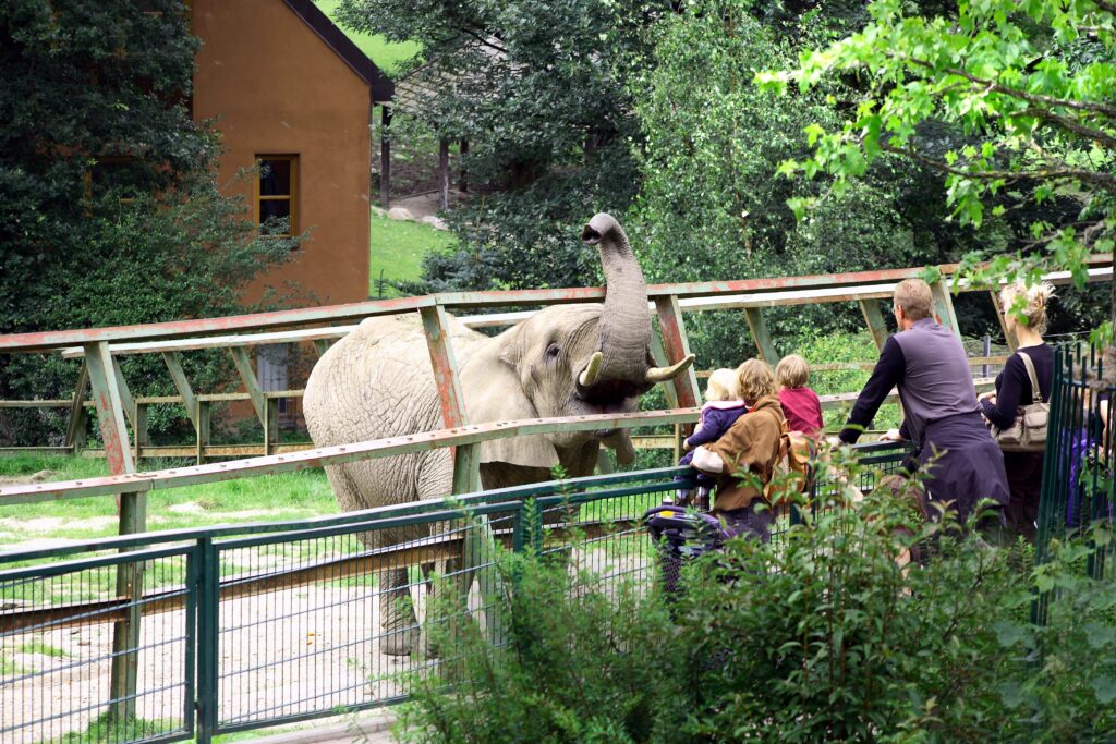 Um den Opelzoo - 19.07.2025