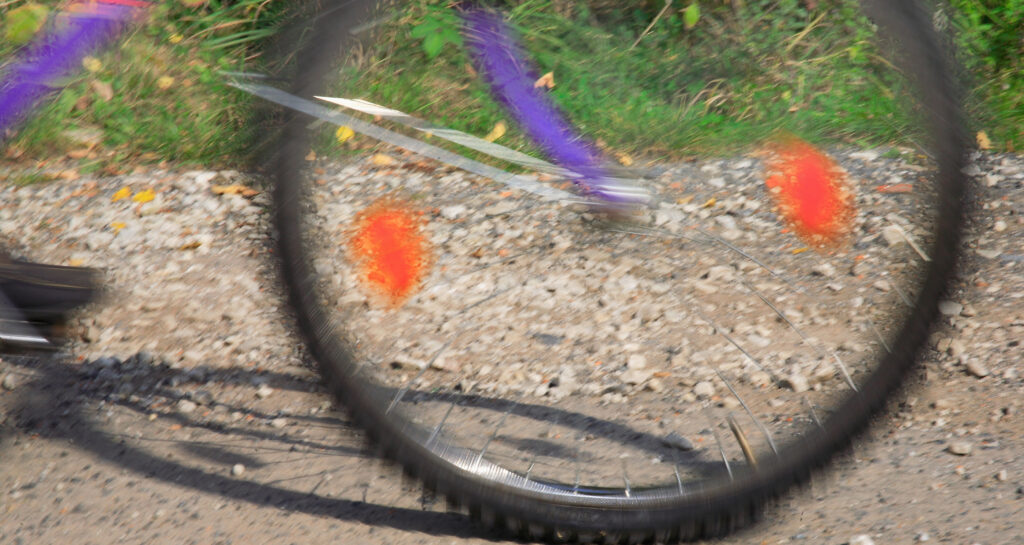 Interessantes auf der Regionalparkroute - 09.06.2025