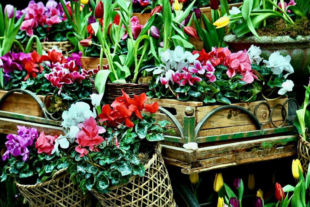 6. Spessarter Genuss- & Gartenfest Bad Orb - 26.07.2025