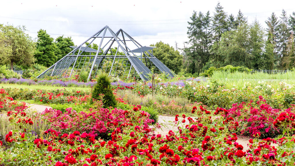 Serenade um Vier - 19.06.2025