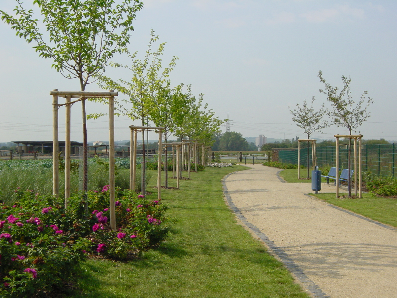 Grünzug Bischofsheim_text