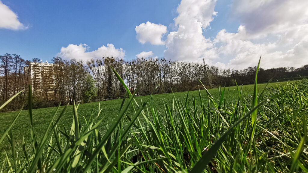 Fotosafari - 21.09.2025