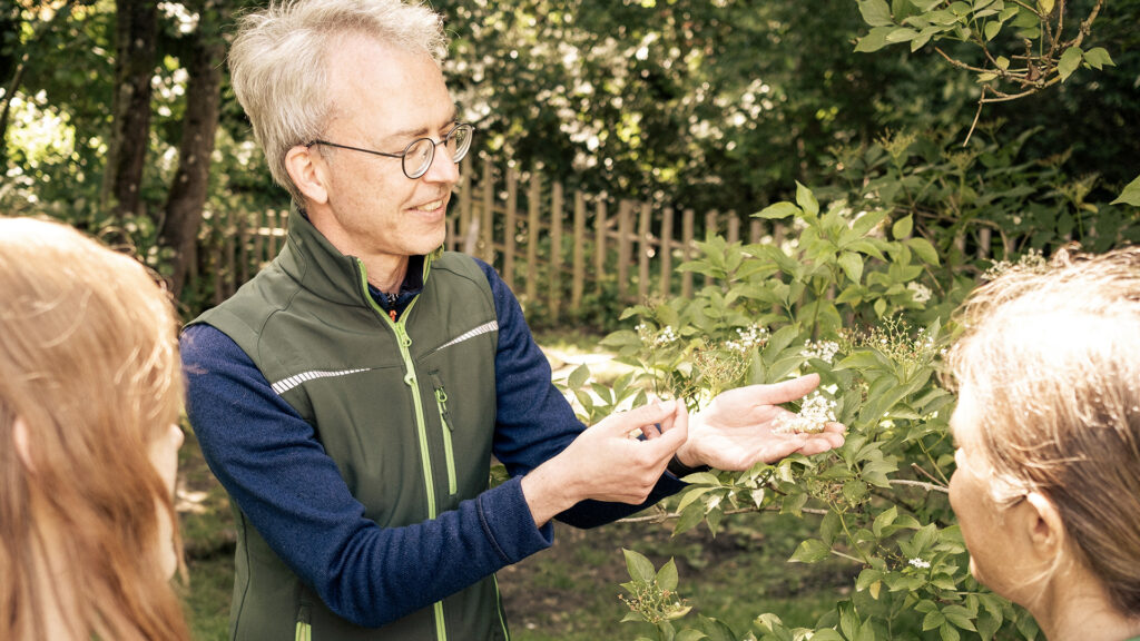 Wilde Stadtnatur - 05.10.2025