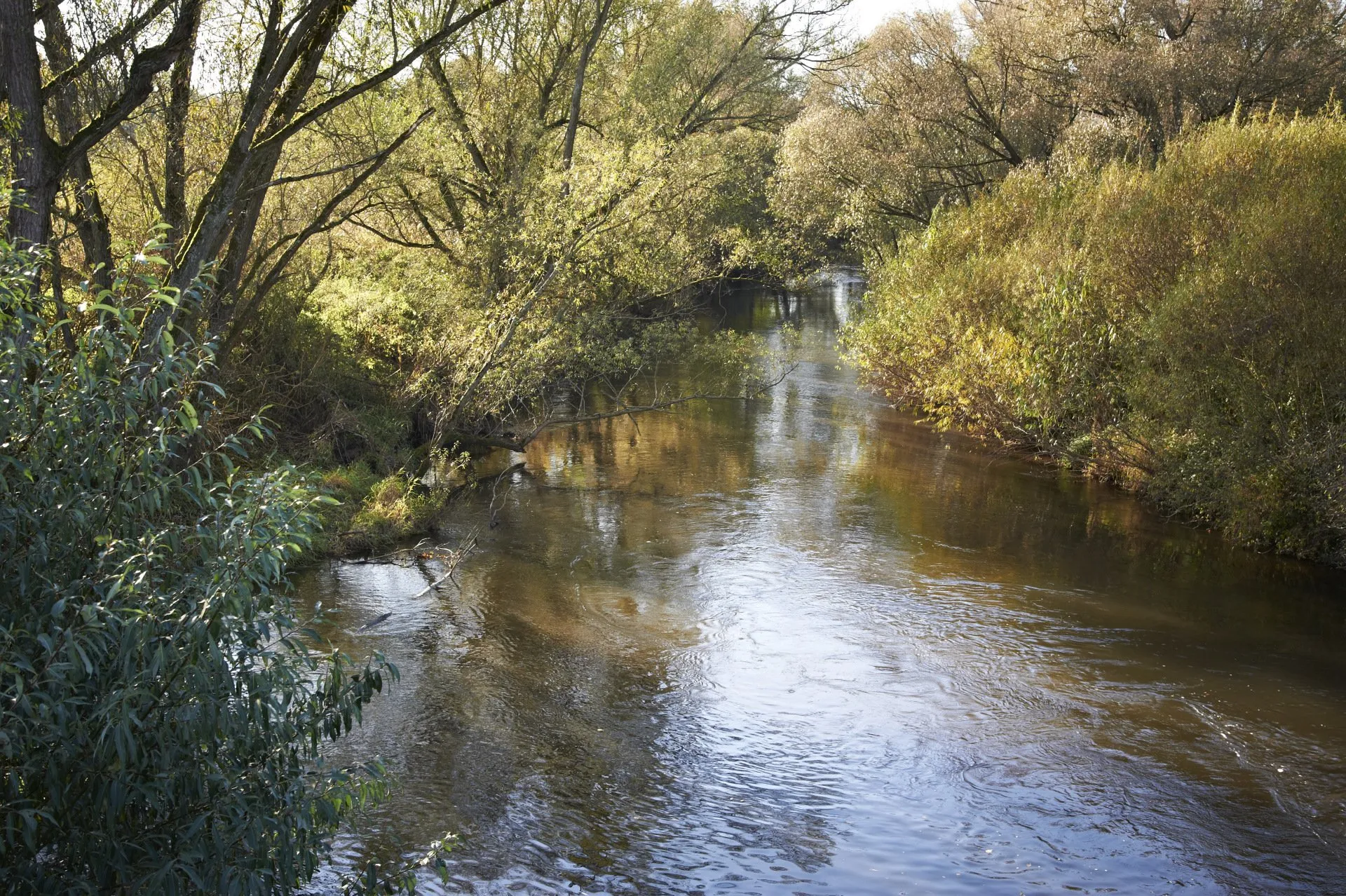 _COP2883-1920w © 2025 Stefan Cop | Kinzig