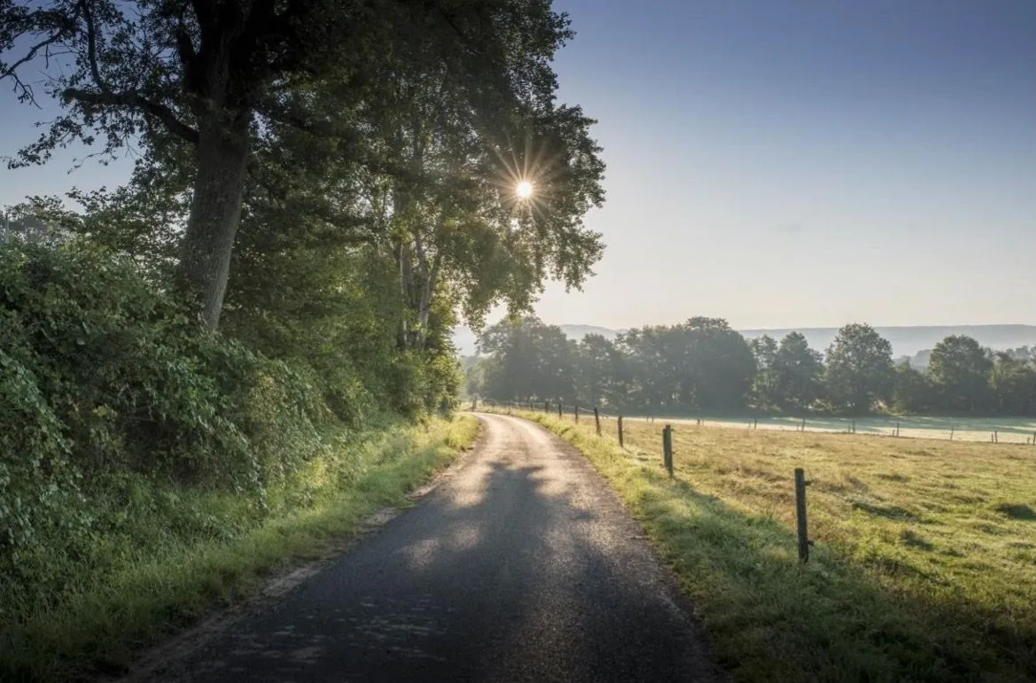 Titelbild_Strategie-18e1ba26-1920w